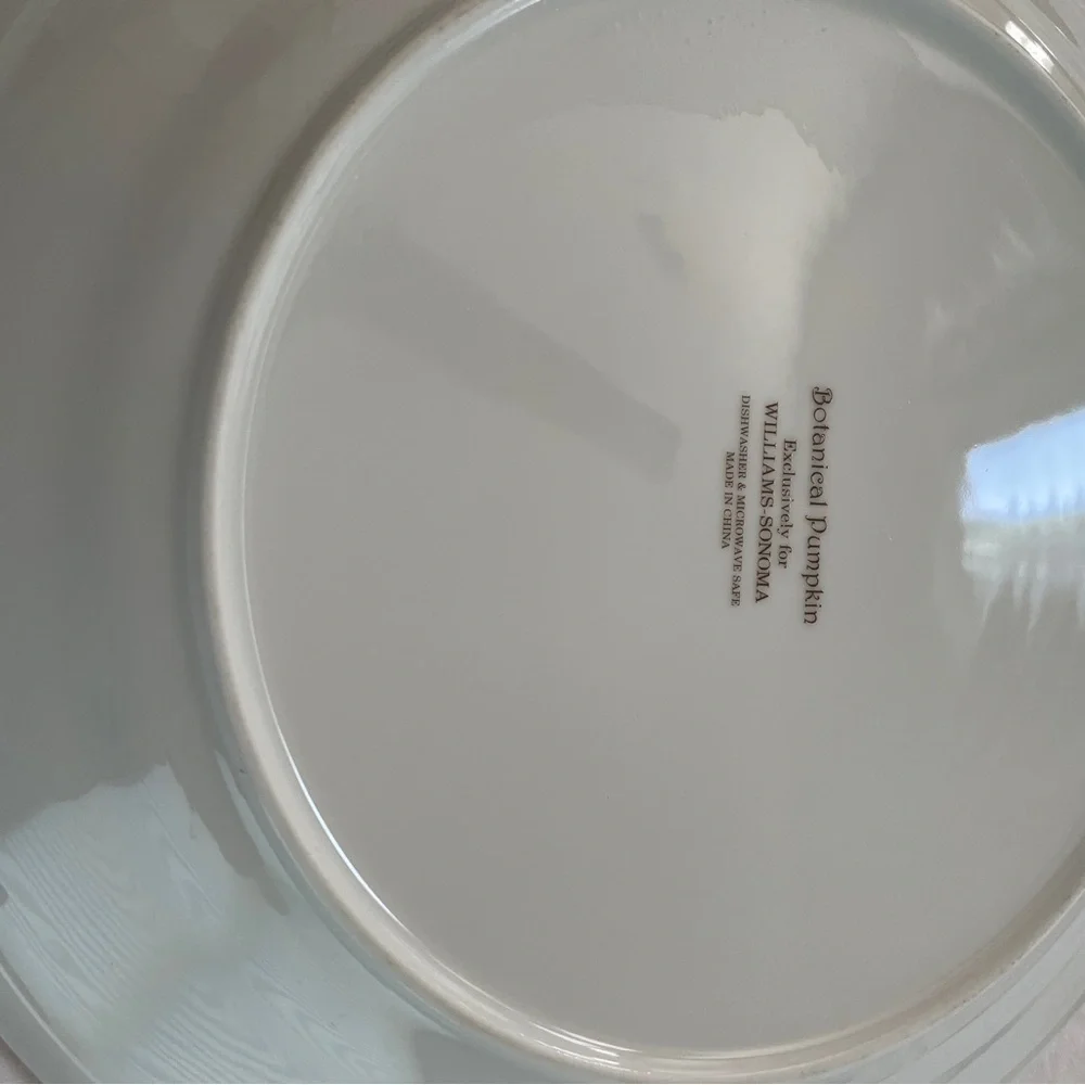 Williams Sonoma Botanical Pumpkin Dinner Plates 11” diameter (Set of 2)